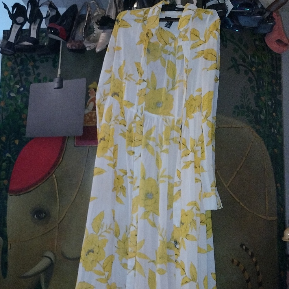 Sheer Simply Adorable Maxi